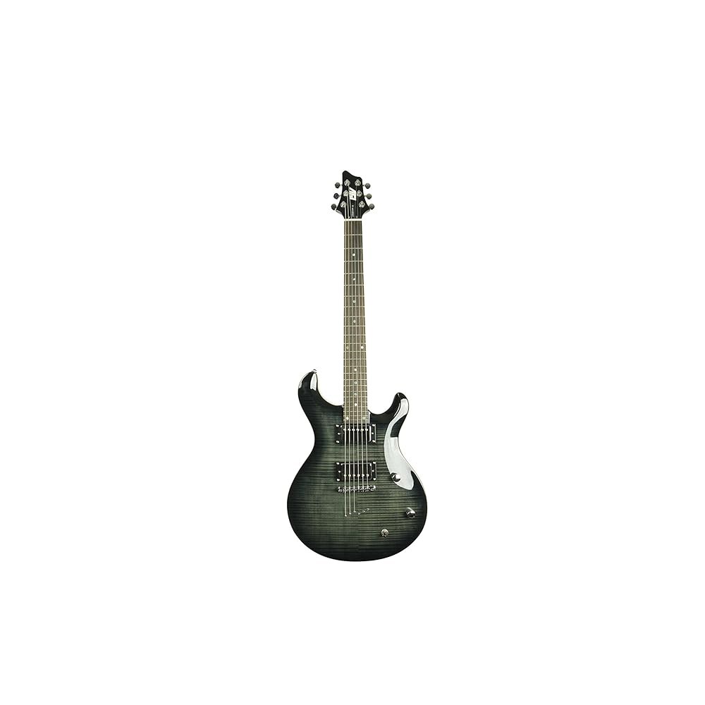 IYV 6 스트링 IP-350 TBK PRS 솔리드 바디 일렉트릭 기타, 트랜스 블랙 Guitars - 상세 이미지 2
