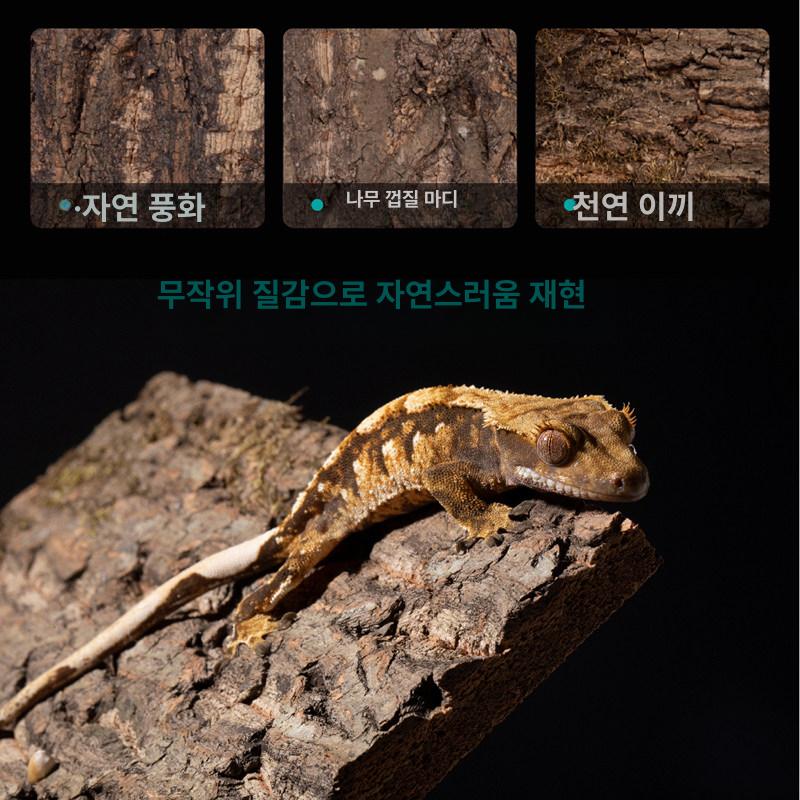 게코 사육장 파충류 폴리카보네이트 양서류 아크릴 도마뱀집 박스 조이클린케이지 거북이 - 상세 이미지 5