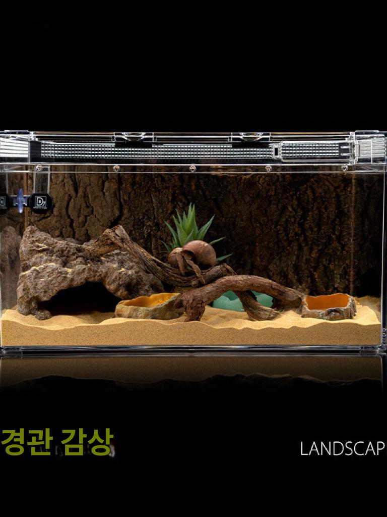 달팽이키우기 p01 파충류 사육 금와 도마뱀 백와 애완 아프리카왕달팽이 흑와 - 상세 이미지 2