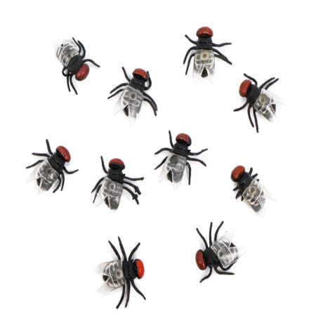 파리 모형 장난감 10p 리얼파리모형