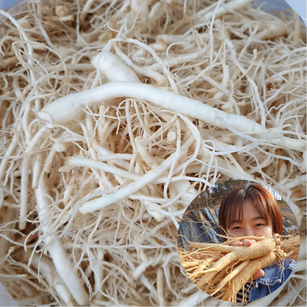 금산인삼 미삼 인삼잔뿌리 수삼 파삼 미삼뿌리 750g 한채 식당용 - 상품 이미지