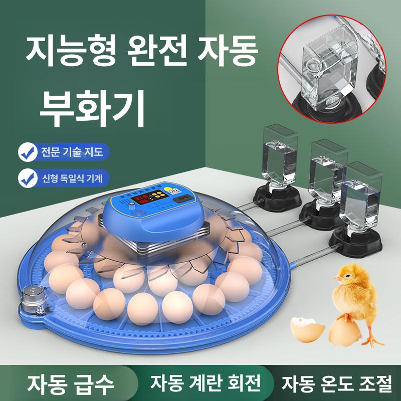 스마트 계란 부화기 메추리 - 상세 이미지 2