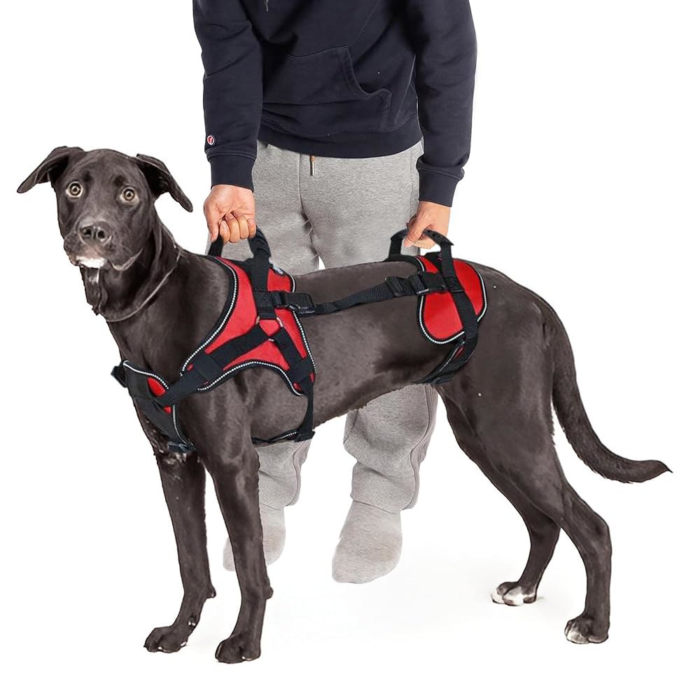 전면 전용, 후면 전용 또는 전신 반려견 팅을 위해 설계된 Doggie Stylz 다기능 팅 개 하네스 조끼. 주문하기 전에 치수를 재세요. Red Girth 20-25 - 상품 이미지