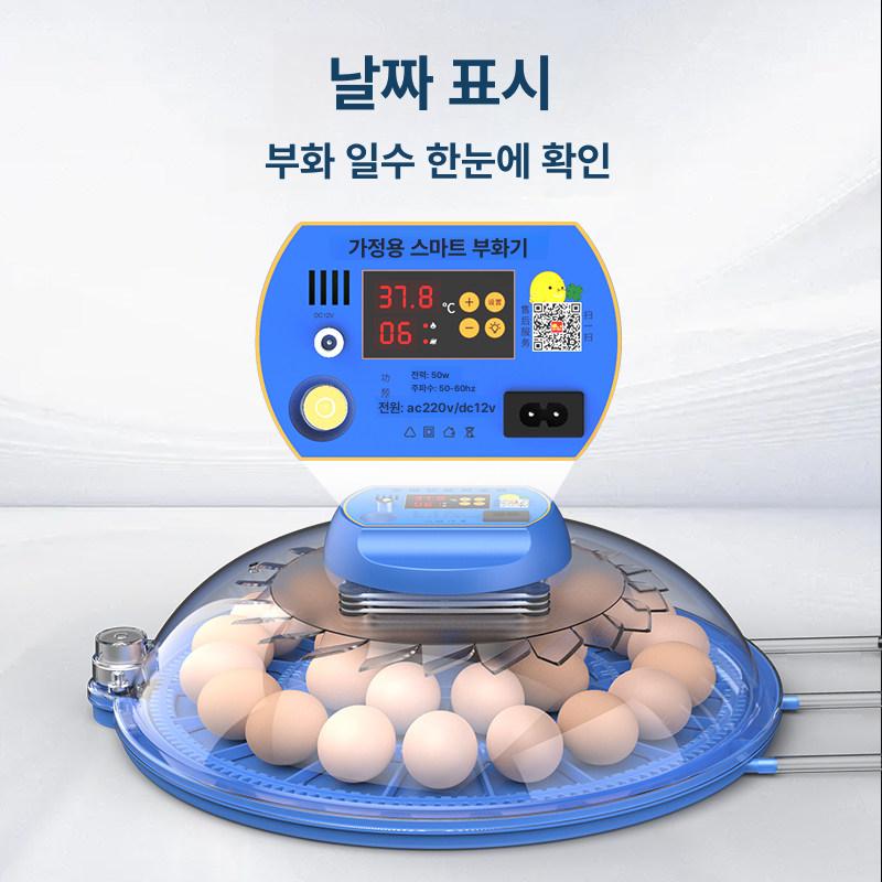 스마트 계란 부화기 메추리 - 상세 이미지 5