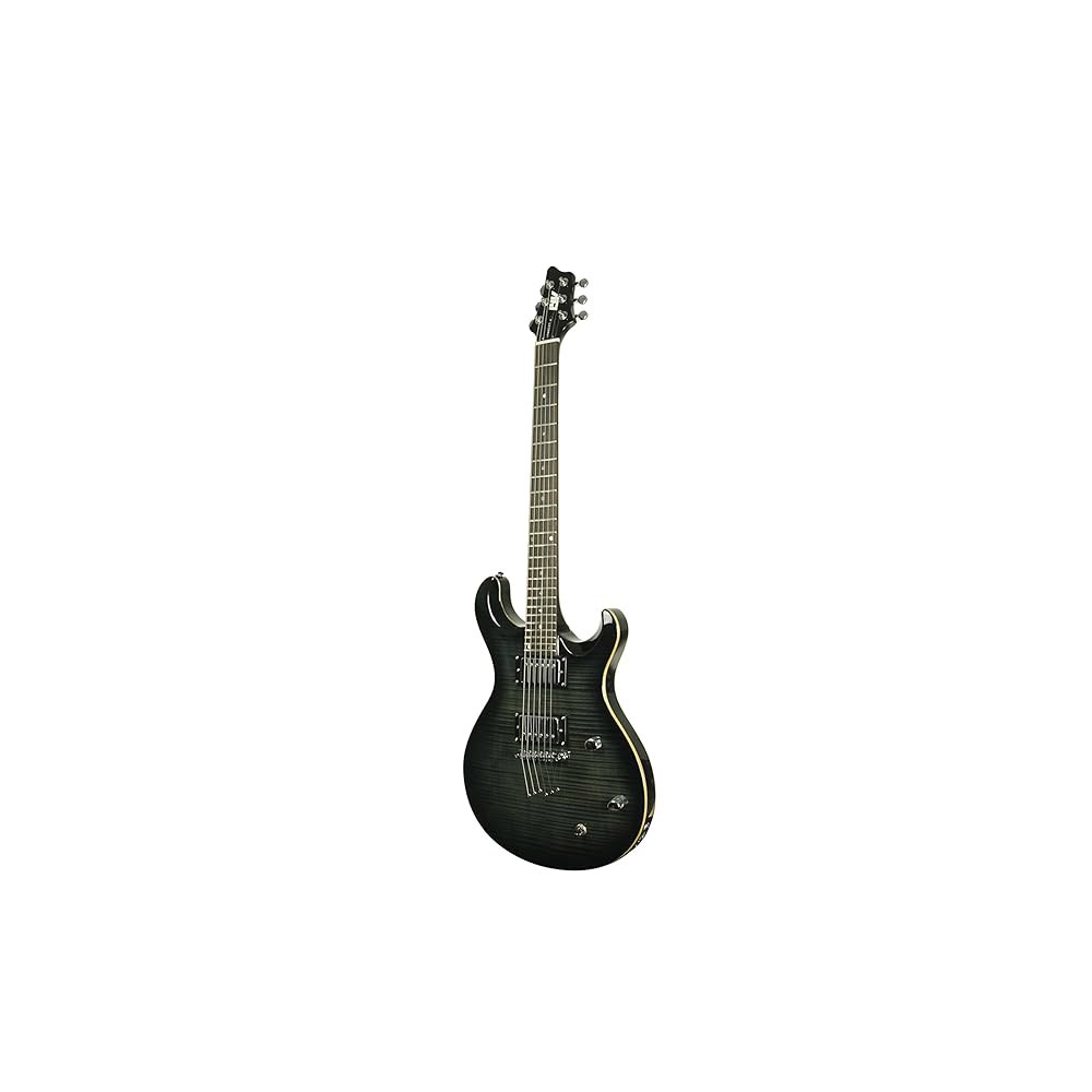 IYV 6 스트링 IP-350 TBK PRS 솔리드 바디 일렉트릭 기타, 트랜스 블랙 Guitars - 상세 이미지 3