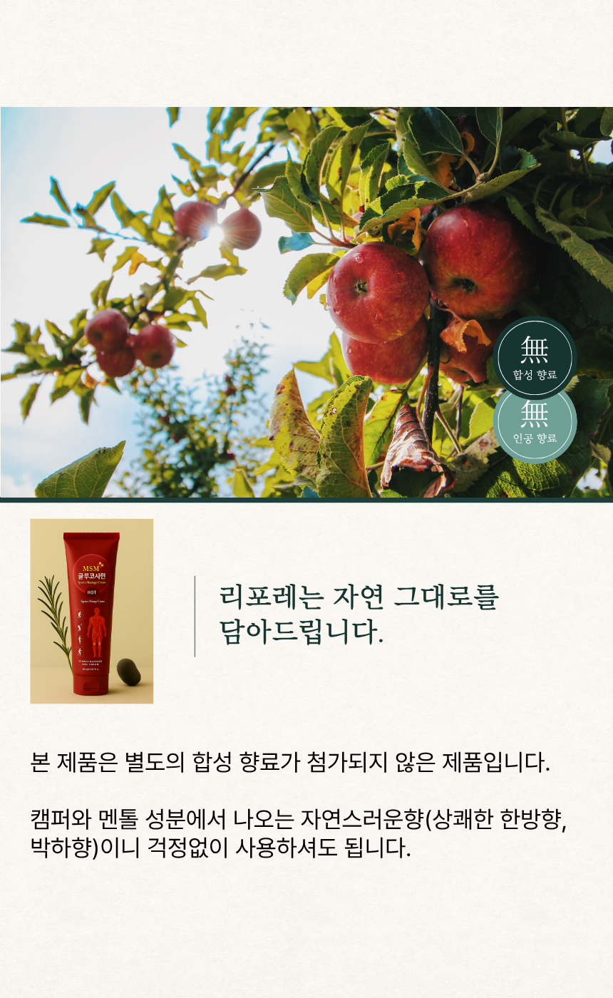 리포레 MSM 열크림 허리 요추 온열 케어 마사지 마트리카리아 150ml, 1개 이미지 7