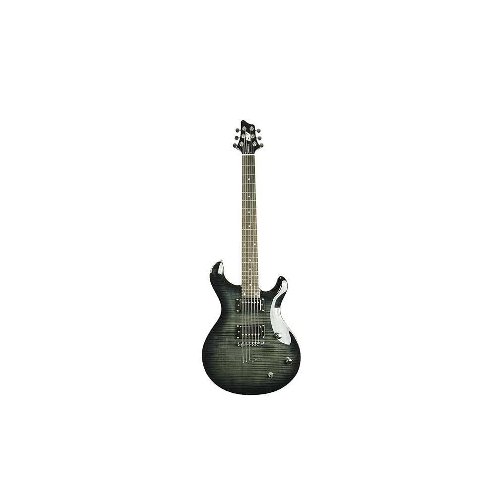 IYV 6 스트링 IP-350 TBK PRS 솔리드 바디 일렉트릭 기타, 트랜스 블랙 Guitars - 상품 이미지