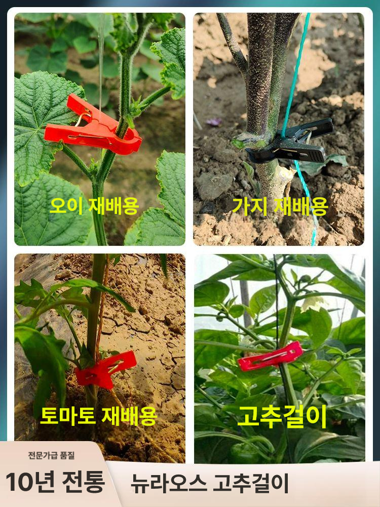 작물집게 세트 호박 토마토 농업집게 자재 고추 덩굴 결속기 임펄스 터널 줄기 과수원 - 상세 이미지 4