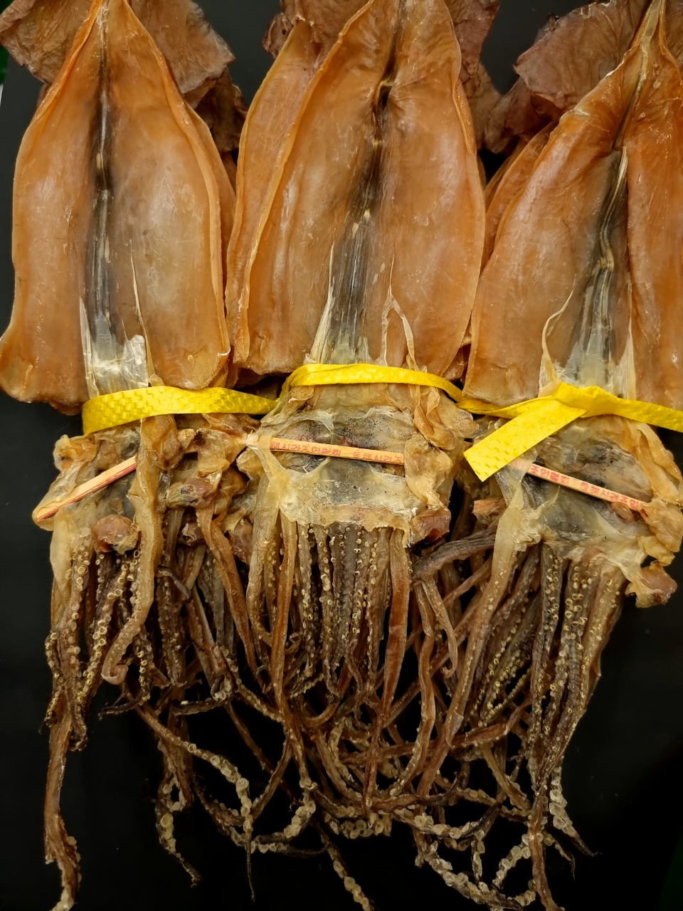 국내 강원도 속초 자연건조 마른오징어 업소용건오징어 (진공포장추가옵션) 120g, 3개 이미지 6