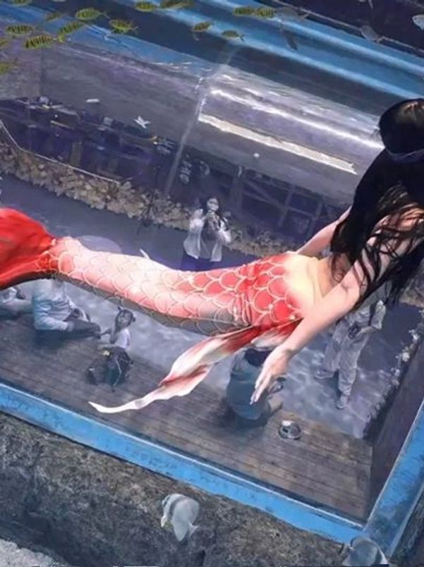 수중촬영 인어슈트 다이빙 머메이드 꼬리 광고 인어 프리다이빙 코스튬 수영장 수족관 슬림핏 - 상세 이미지 3