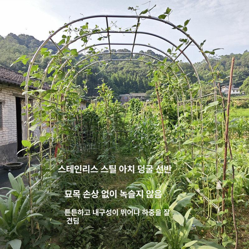 덩굴 아치 프레임 웨딩 대문 배경 넝쿨 정원 스테인레스 결혼식 화단 포토존 지지대 가든 - 상세 이미지 5