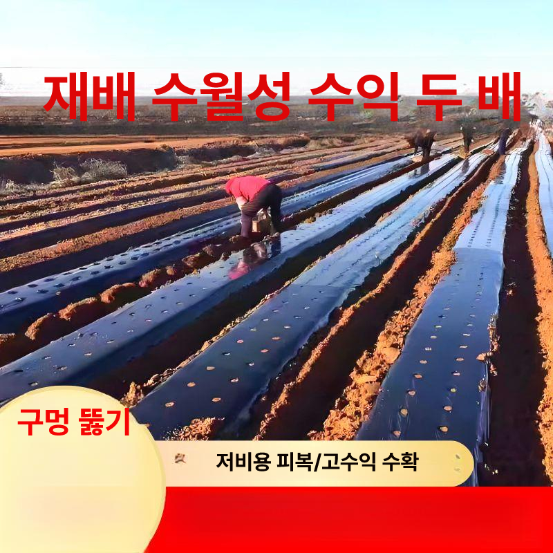 농업용 멀칭 비닐 유공 유공부직포 제초매트 방초 멀칭비닐 제초 고추 유공비닐 필름 흑색 - 상세 이미지 3