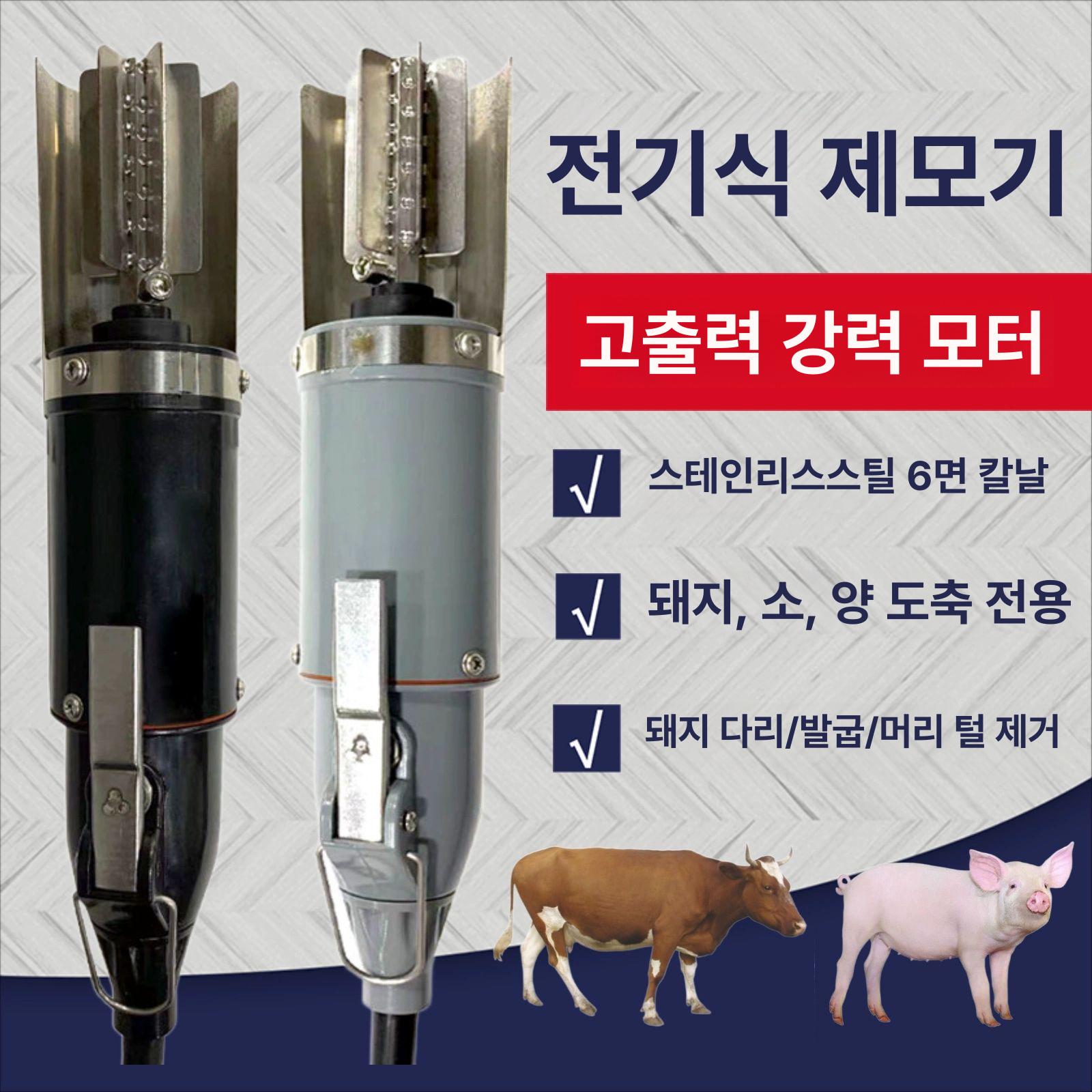 돼지털 제거기 손질기 제모기 도축장 특수 정육 처리  - 상세 이미지 2