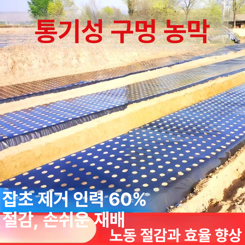농업용 멀칭 비닐 유공 유공부직포 제초매트 방초 멀칭비닐 제초 고추 유공비닐 필름 흑색 - 상세 이미지 4