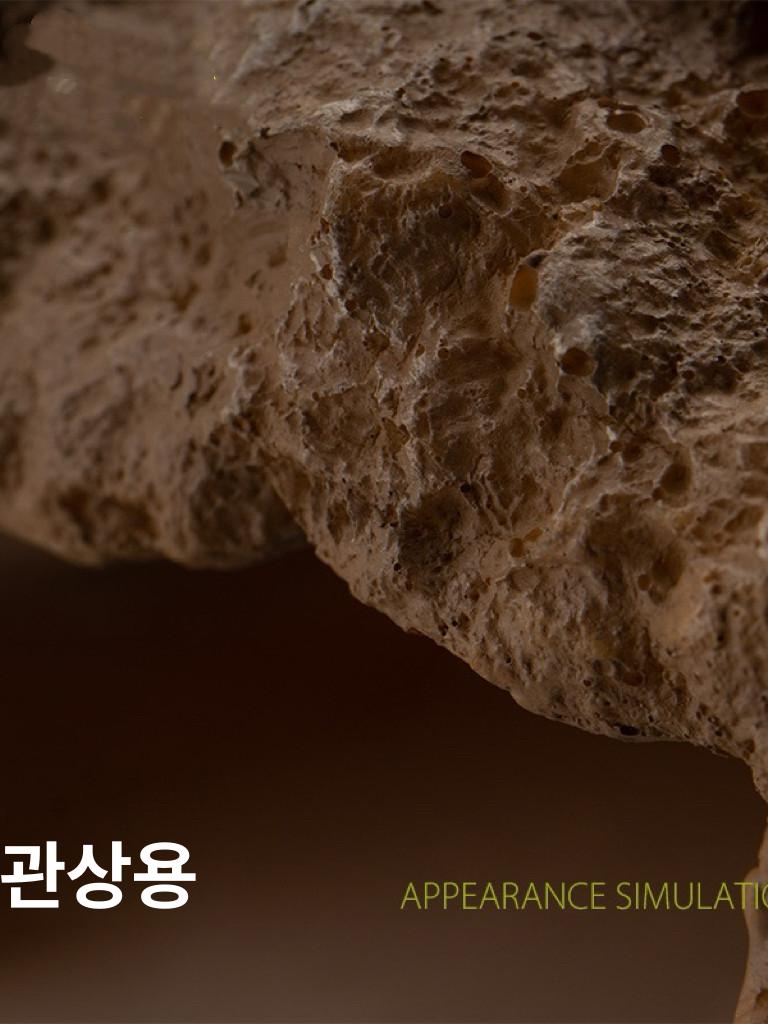파충류 사육 키트 애완 밀웜 네트 관찰 거미 상자 세트 비바리움 사육함 곤충 뿔개구리 - 상세 이미지 3
