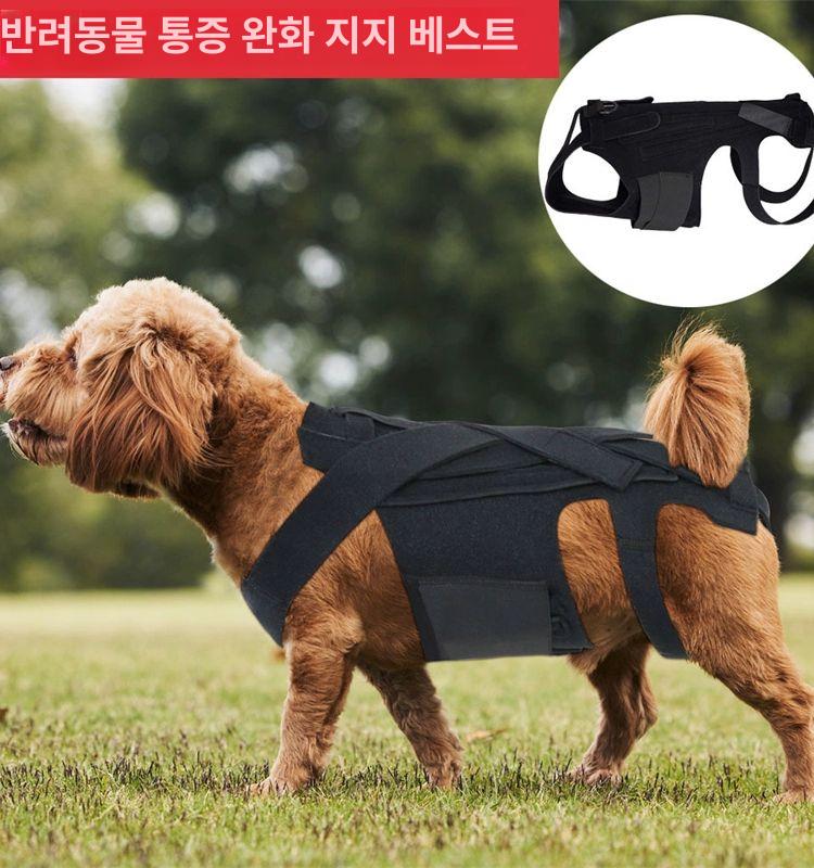 강아지 허리보호대 척추보조기 노견 보행기 대형견 벨트 - 상세 이미지 2