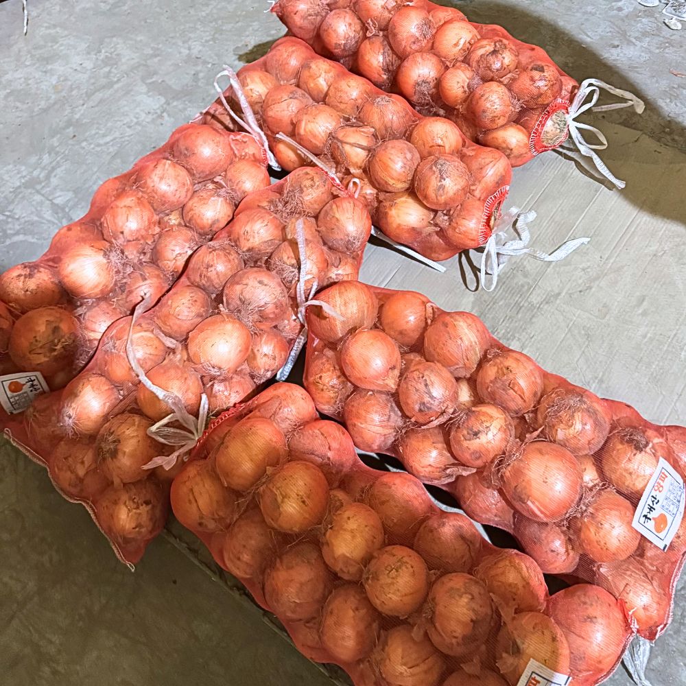 26년 경북 고령 햇 양파 5kg 선별 산지직송 - 상세 이미지 5