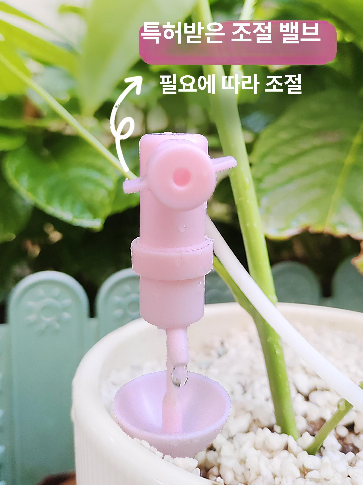 화분 자동 급수기 점적 관수 식물 급수 장치 상추 키우기 - 상세 이미지 5