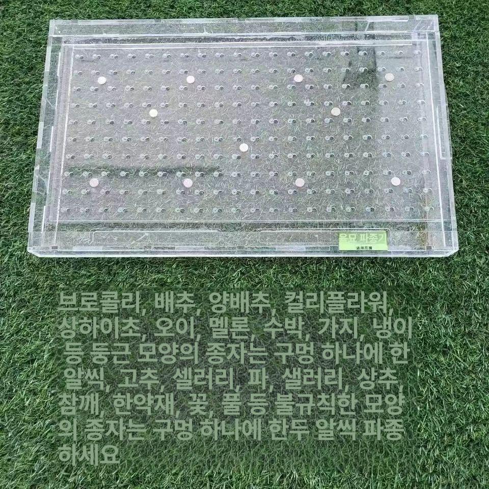 묘목 파종기 트레이 커스텀 들깨 부유 옥수수 한손 디스크심기 새싹 이식기 콩 씨앗트레이 - 상세 이미지 2