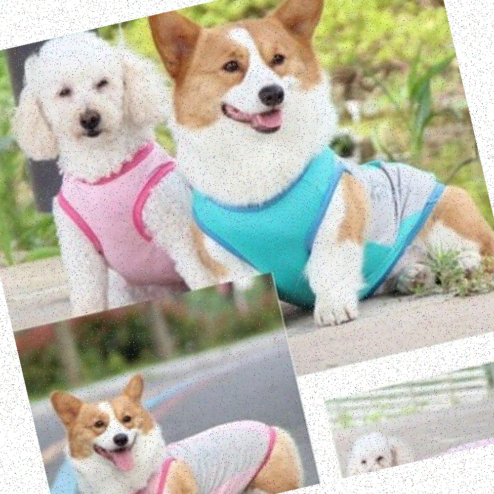 기능성냉감조끼 쿨조끼 낚시캠핑 땀배출 메쉬원단 쿨티 강아지쿨조 패션옷 강아지수영 강아지 - 상품 이미지