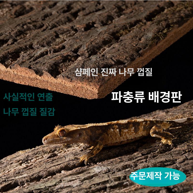 도마뱀 사육장 아크릴 파충류 거미 레오파드게코 유리사육장 키우기 온도조절 상자 용품 곤충 - 상세 이미지 2