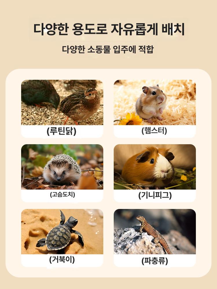 병아리 사육장 병아리키우기 메추리 하우스 목재 나무 - 상세 이미지 4