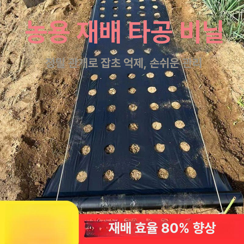 농업용 멀칭 비닐 유공 유공부직포 제초매트 방초 멀칭비닐 제초 고추 유공비닐 필름 흑색 - 상세 이미지 5