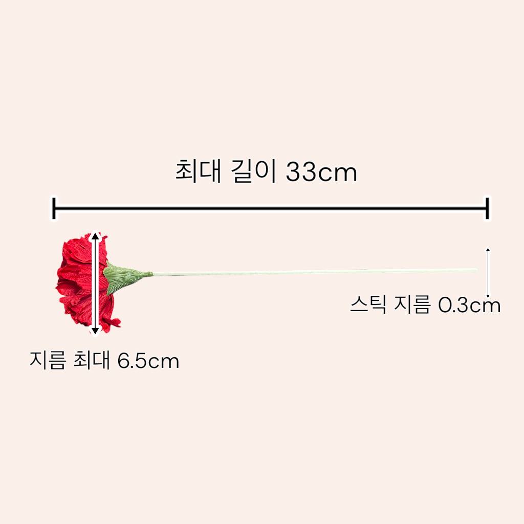 디퓨저 스틱 감사해요 빨강 카네이션, 500ml, 1개 - 상세 이미지 4