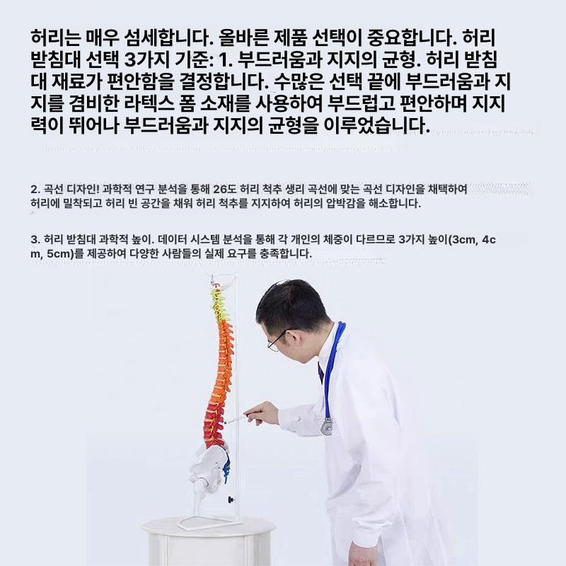 라텍스 요추 베개 반원형 지지대 허리 쿠션 등쿠션 - 상세 이미지 4