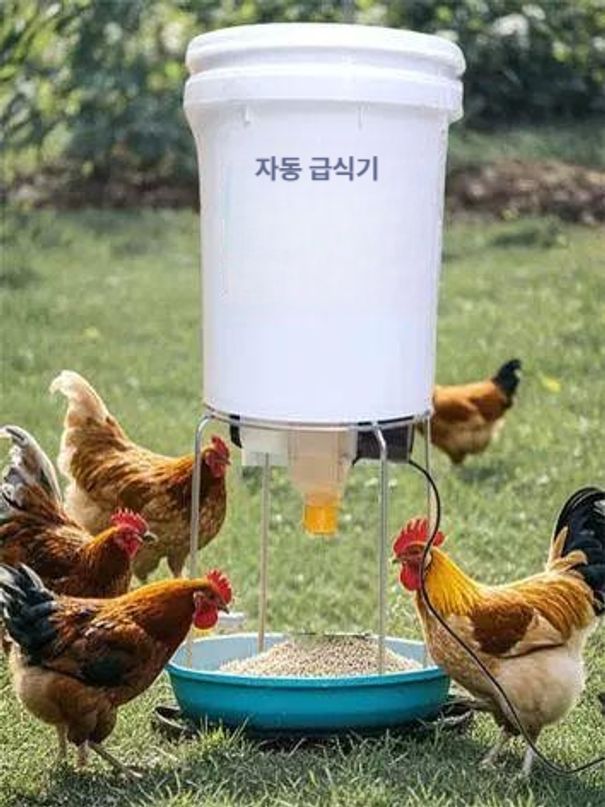 사료 급식기 자동 싱글 애견 자율배식 타이머 급여 자율 사료급식기 자동사료급여기 파란색 - 상품 이미지
