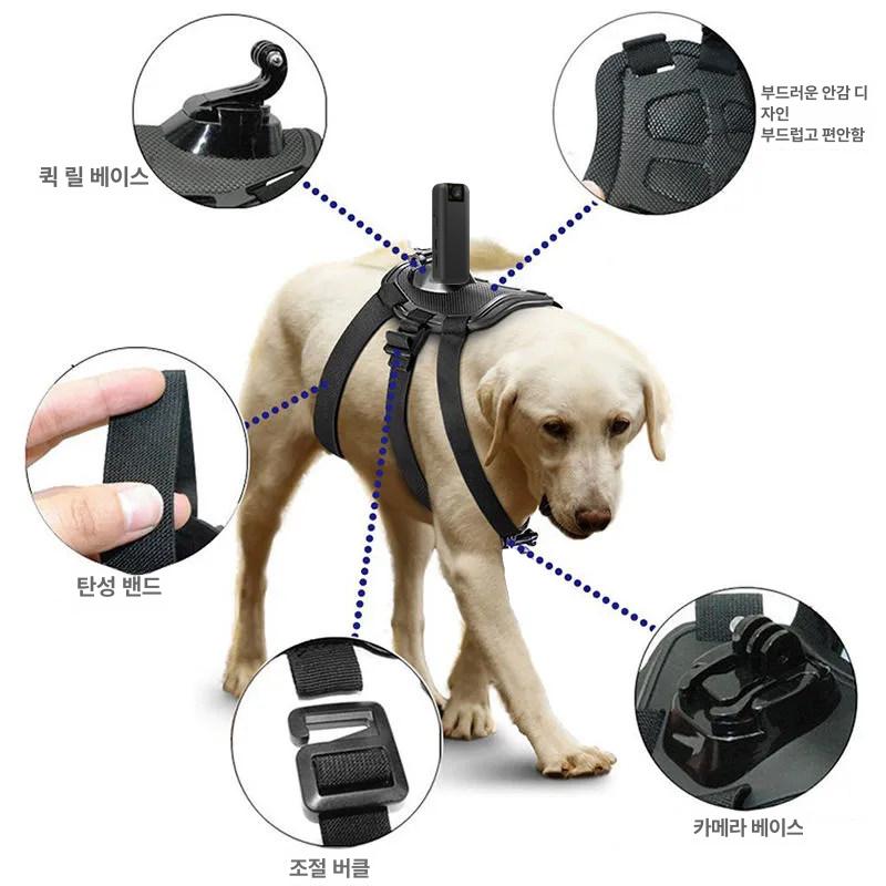 동물 카메라 디지털 선물 디카 장난감 애완 고양이카메라 와이파이 패턴 발 미니 개 어린이 - 상세 이미지 4