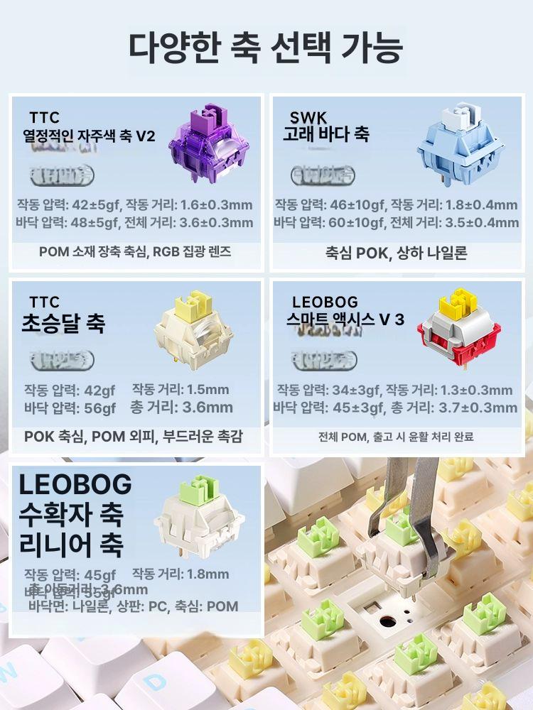 저소음 기계식키보드 그린축 무선 기계식 키보드 캐릭터 독거미 사무실 연결만 고양이 그린 - 상세 이미지 5