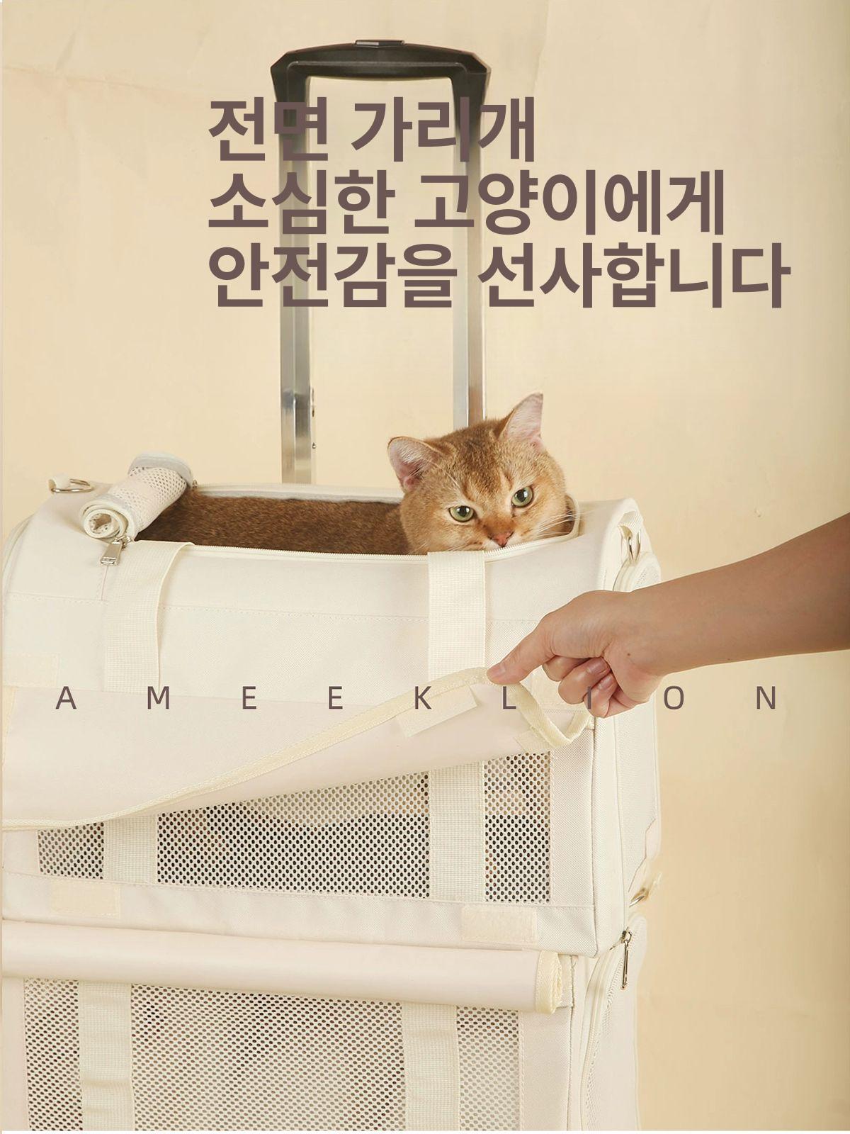 반려견 애견캐리어 이동장 2단 케리어 이동가방 여행용 가방 트롤리 고양이이동장 백팩 투명 - 상세 이미지 4