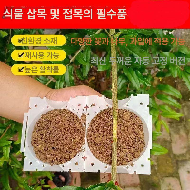 식물 루팅볼 세트 대형 뿌리 대 공중 삽수 투명 묘목 취목 취목볼 공중뿌리 삽목 중형 - 상세 이미지 3