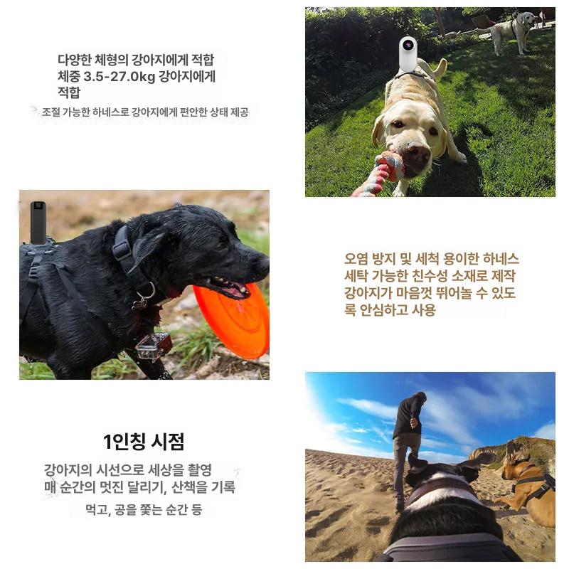 동물 카메라 디지털 선물 디카 장난감 애완 고양이카메라 와이파이 패턴 발 미니 개 어린이 - 상세 이미지 3