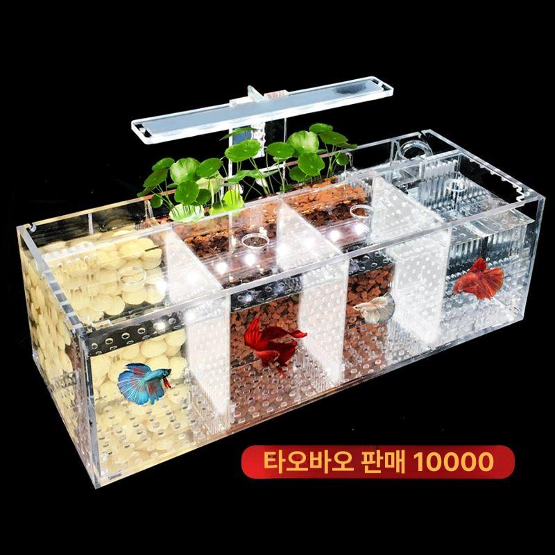 아크릴 수족관 베타어항 분리 탁상용 격리 분리수조 마리모 격리통 칸막이 수조 분할 물고기 - 상세 이미지 2