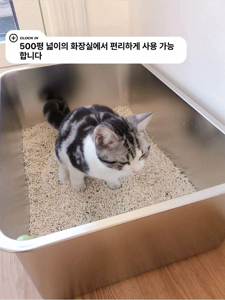 반려동물 화장실 후드형 스테인리스 초대형 대형 밀폐형 스테인레스 배변 스틸 청소 완전 - 상세 이미지 2