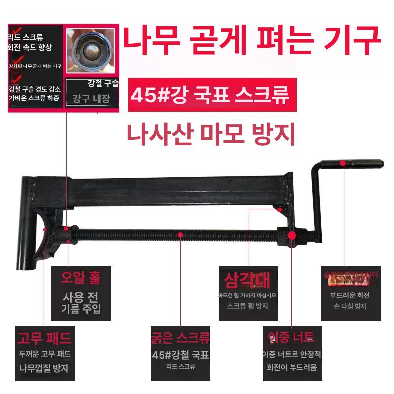 식물 교정기 외목대 중형 나무 향나무 풍성한 공기정화식물 토피어리 서향나무 실내공기정화 - 상세 이미지 4