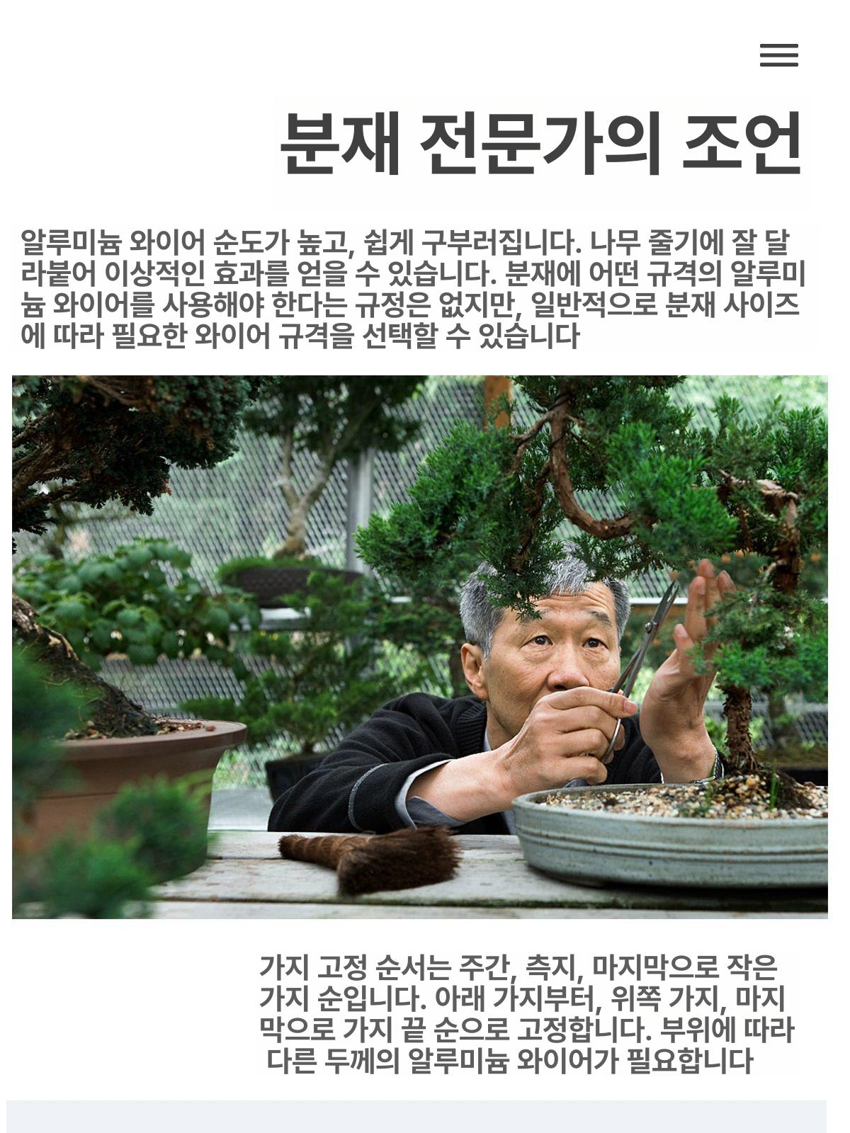 분재용 도구 조경 와이어 알루미늄 원예 지지대 고정핀 - 상세 이미지 2