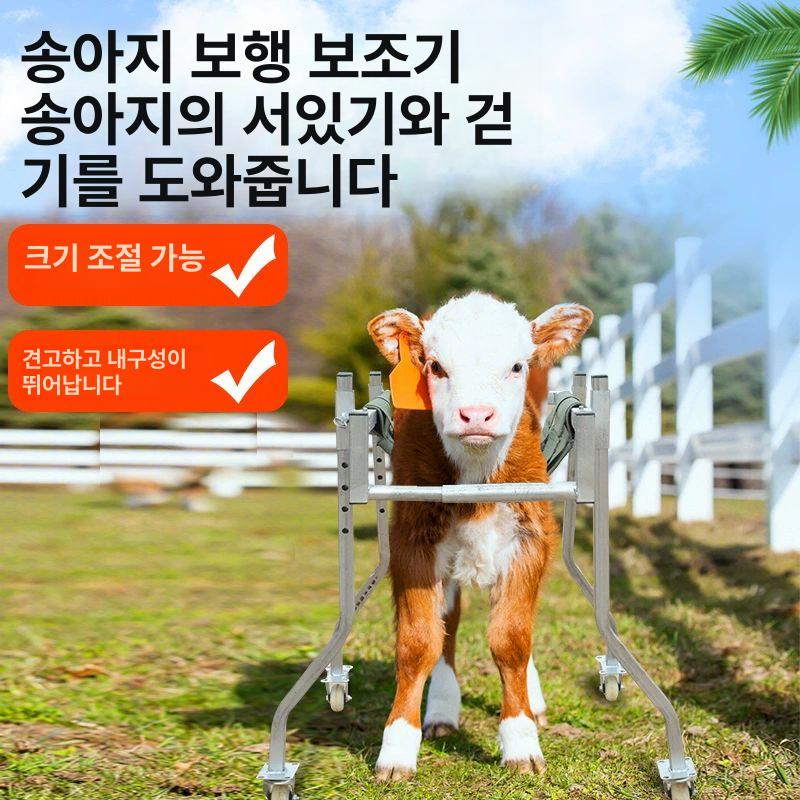 축산 보행기 지지대 송아지 걷기 걸음마 염소 보조 농장 걷기연습 워커 송아지보행기 기립 - 상세 이미지 2