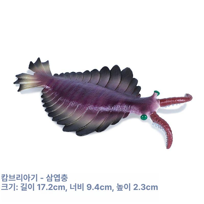 교육용 생물 피규어 고생대 교구 암모나이트 인테리어 랍스터 화석 호주 물고기 모형 - 상세 이미지 3