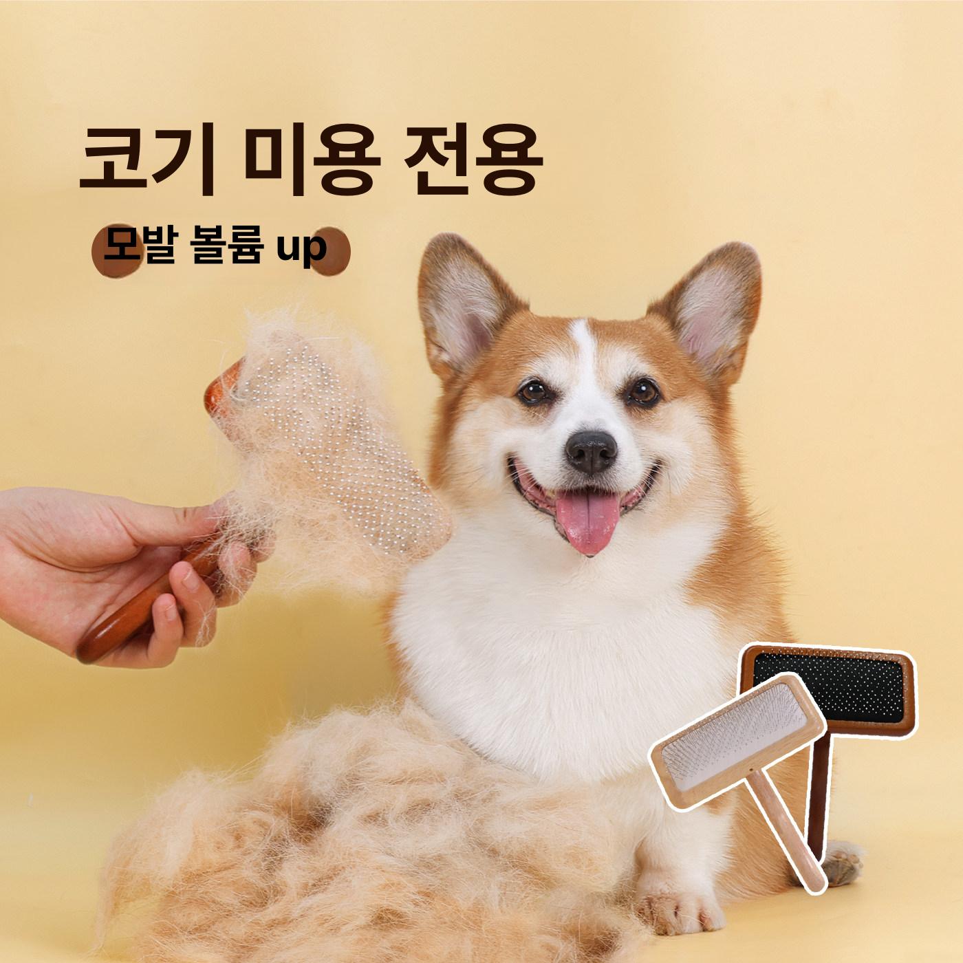 소형견 털제거 브러쉬 전용 제거 털빗 마사지 털 고양이 죽은털제거 죽은털 엉킨털 미용 빗 이미지 6