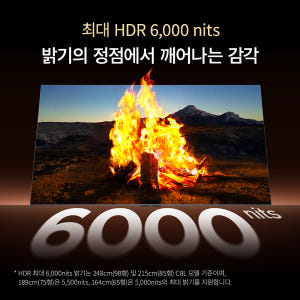 TCL 65C8L 프리미엄 4K SQD-Mini LED 구글 TV 상세 이미지 10
