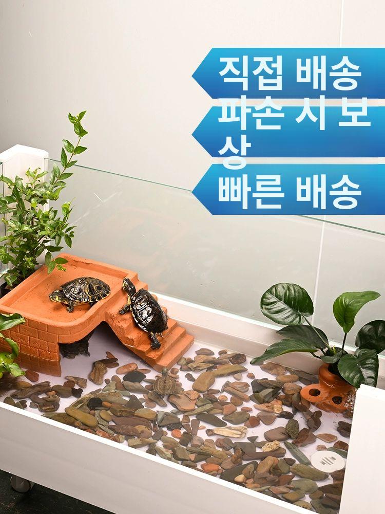 수족관 어항 거북이 일체형 인테리어 반수생 대형 물고기 사이즈 키우기 수조 포함 가정용 이미지 6