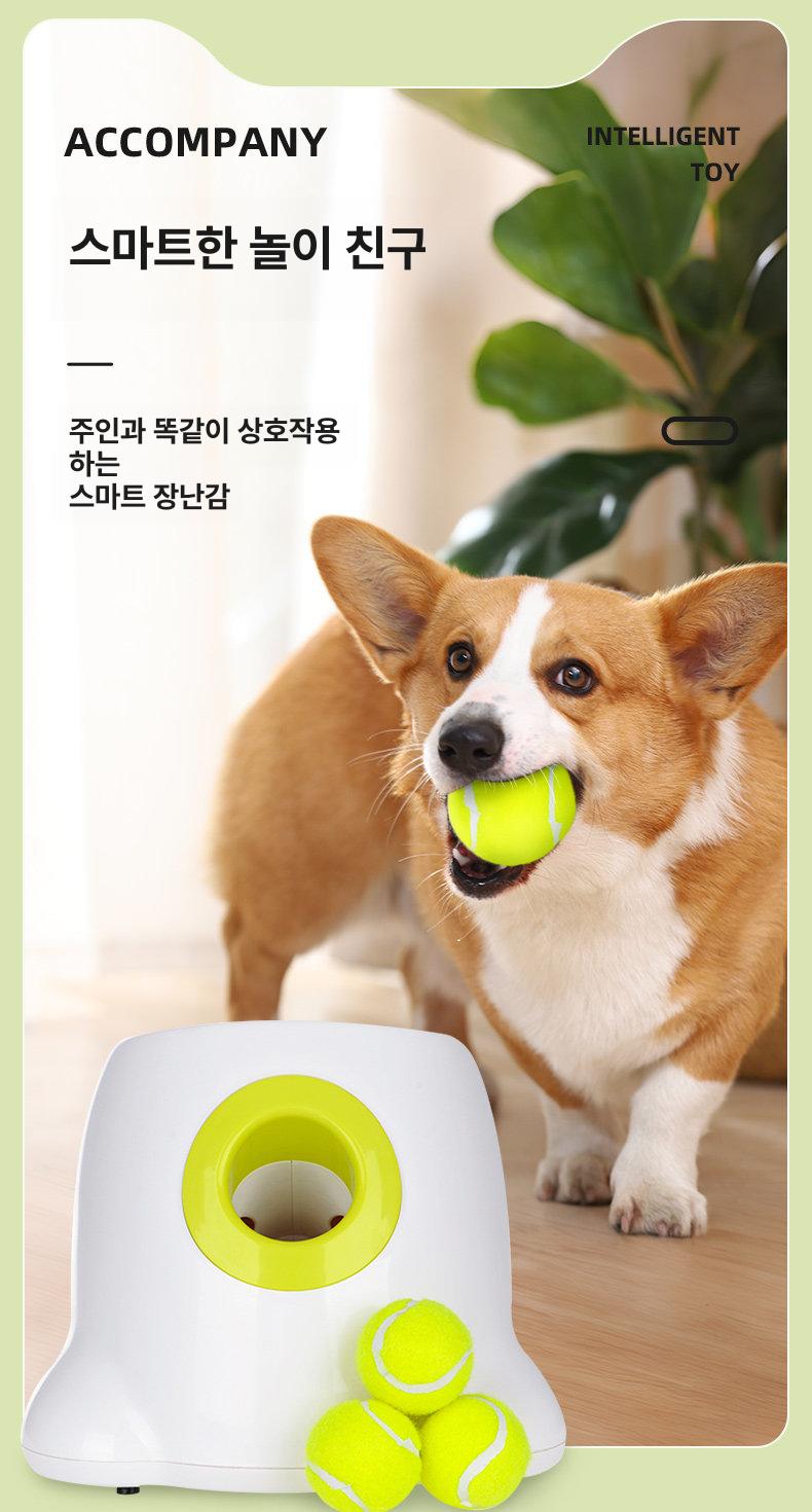 애견 공발사기 자동 실내용 볼 애견훈련용 테니스공 자동공놀이기 발사기 머신 펫볼런처 기계 - 상세 이미지 2