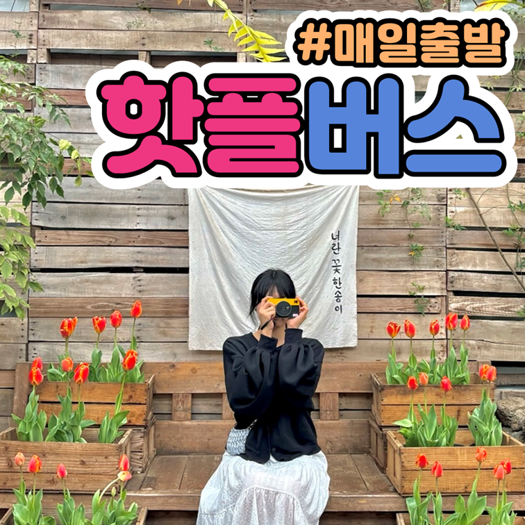 핫플트립 제주도버스투어 뚜벅이 패키지로 특별한 선물 선택과 가치 판단하기