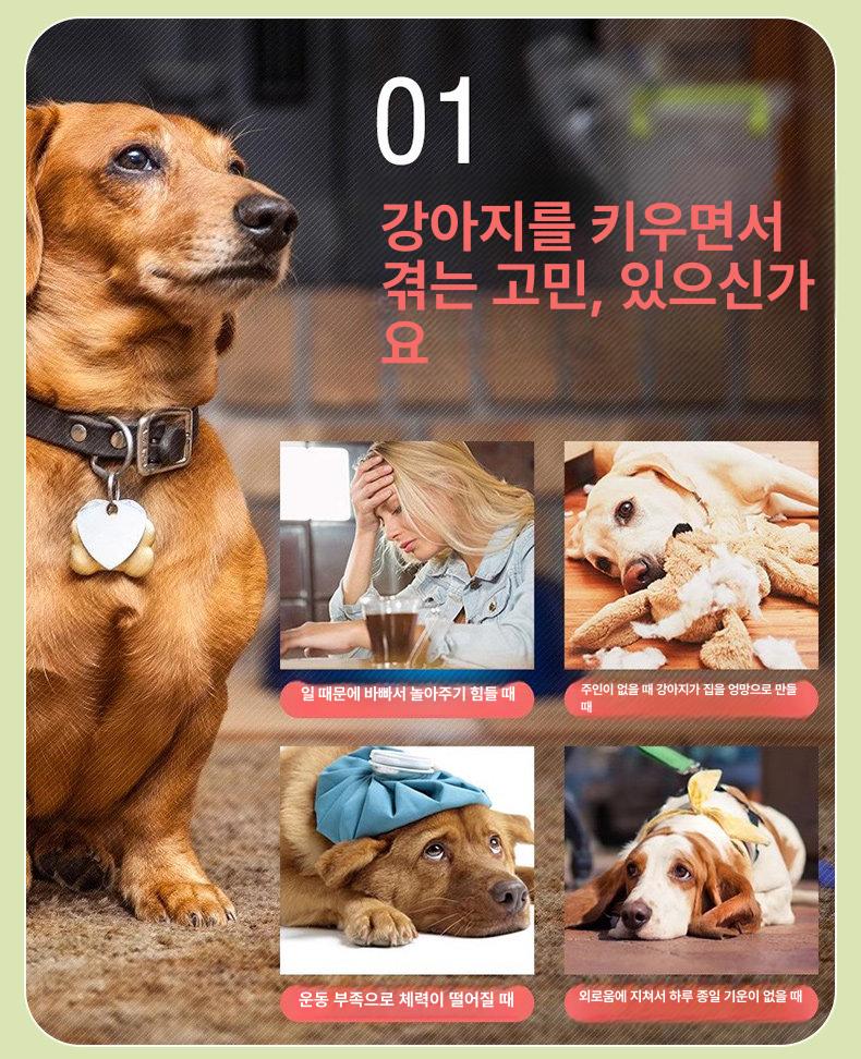 애견 공발사기 자동 실내용 볼 애견훈련용 테니스공 자동공놀이기 발사기 머신 펫볼런처 기계 - 상세 이미지 4