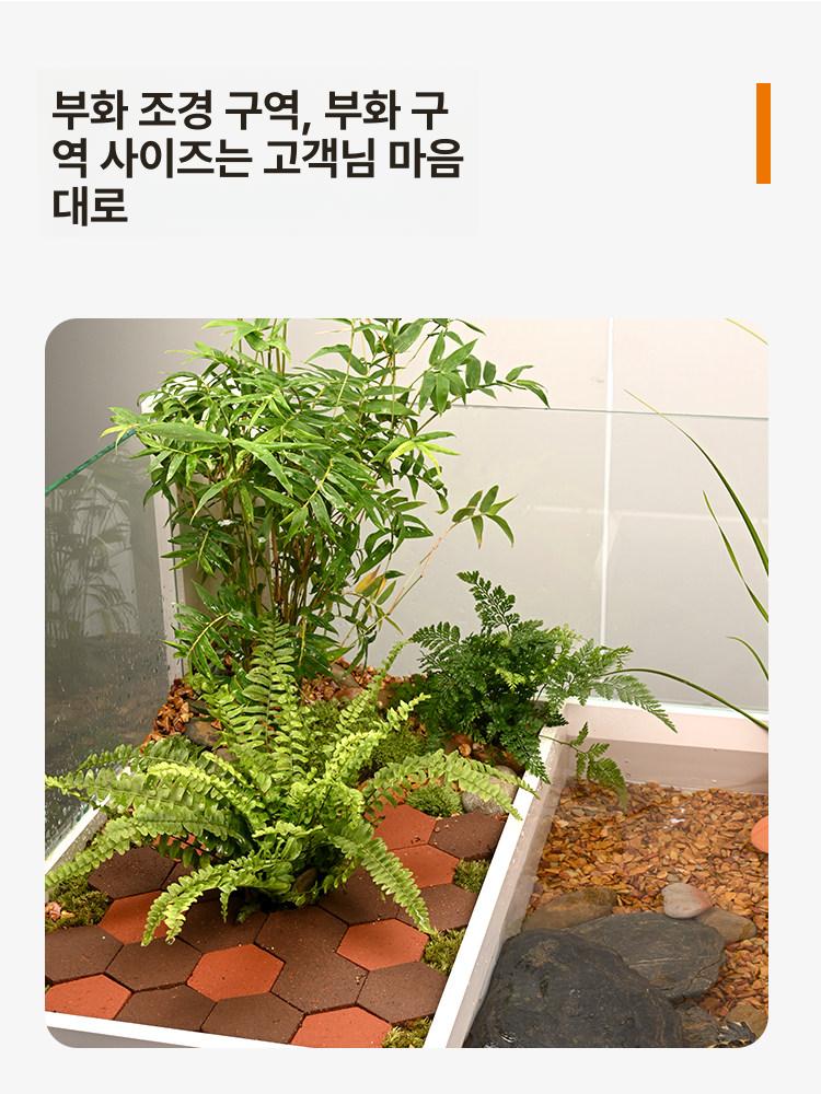 수생 거북이 테라리움 대형 투명 어항 강화유리 반수생 대형거북이어항 번식 수조 수족관 - 상세 이미지 5