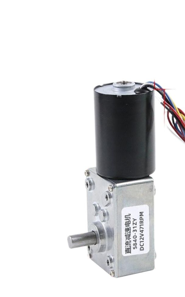 12v 감속모터 속도조절 소형 고토크 웜 실린더 감속 편심축 기어 단감속 샤프트 저속 - 상품 이미지