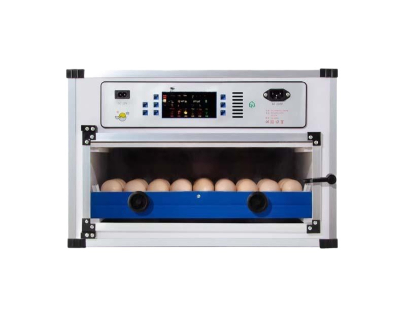 계란 부화기 케이지 싱글 병아리육추기 전기 인큐베이터 접시 사육장 박스 전용 달걀 병아리 - 상품 이미지
